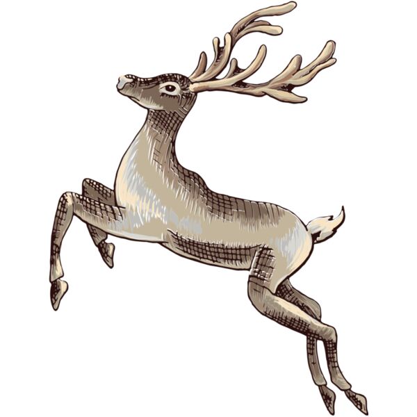 reindeer 2 Thumbnail