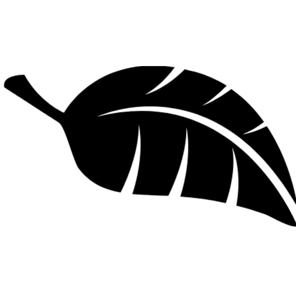 leaf Thumbnail