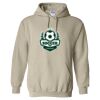 Heavy Blend™ Hooded Sweatshirt Thumbnail