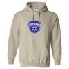 Heavy Blend™ Hooded Sweatshirt Thumbnail