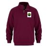 Adult 1/4 Zip Pullover Sweatshirt Thumbnail